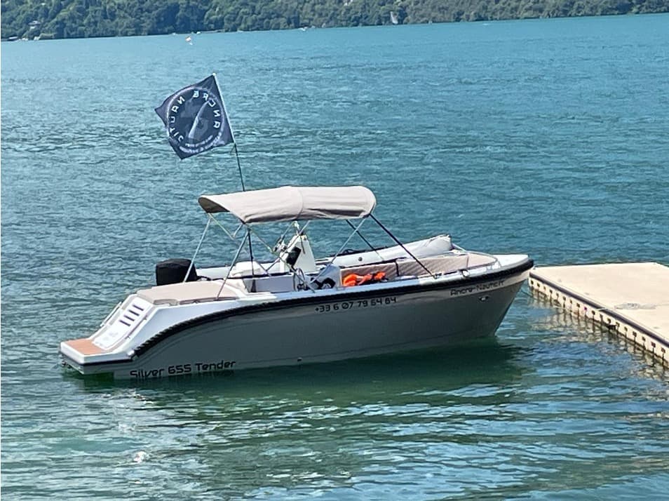 Silver 655 Tender